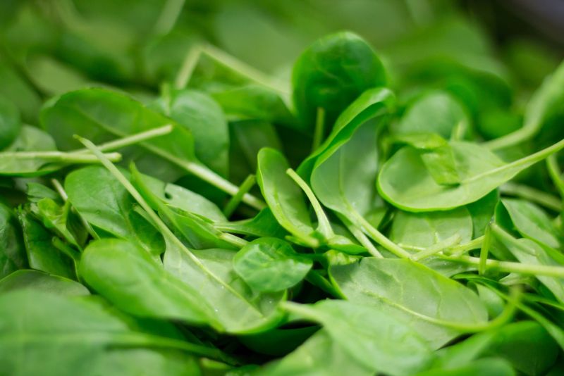 Cele mai bune surse de proteină vegetală, dacă vrei să renunți la produsele de origine animală