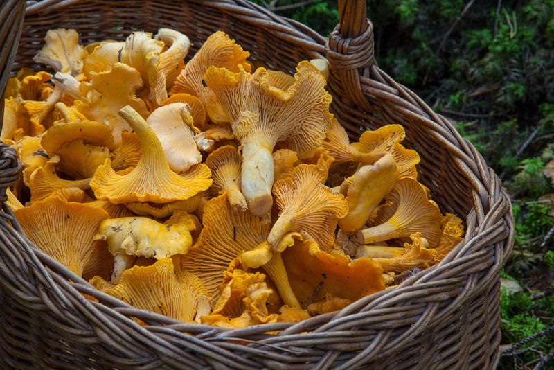 Cele mai bune surse de proteină vegetală, dacă vrei să renunți la produsele de origine animală