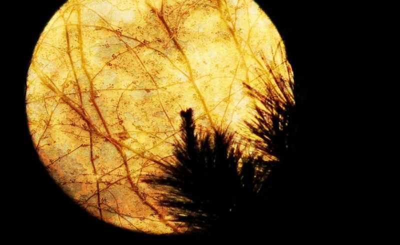 Echinocțiul de toamnă are loc pe 22 septembrie 2021