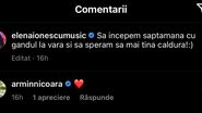 Elena Ionescu si Armin Nicoară