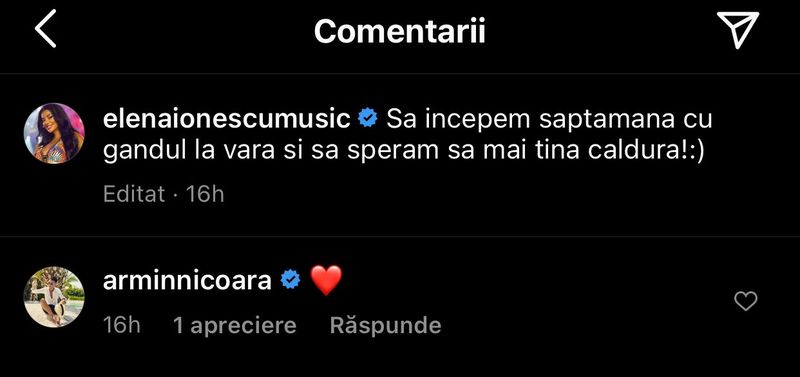Elena Ionescu si Armin Nicoară