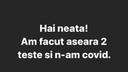 Postarea făcută de Theo Rose