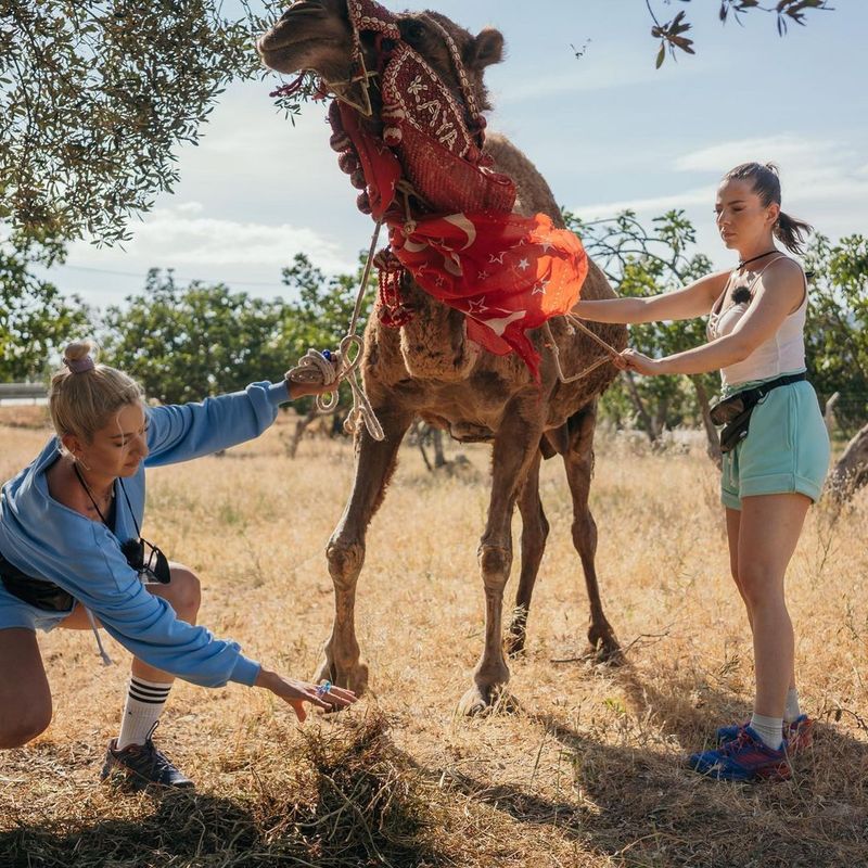 Cine sunt câștigătorii Asia Express 2021