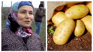 O femeie a făcut o descoperire uluitoare în timp ce planta cartofi