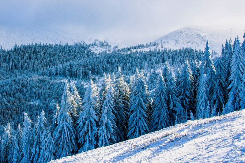 Facturile majorate au crescut prețurile vacanțelor cu 15%