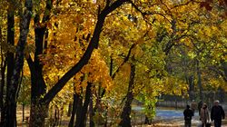 Prognoza meteo ANM, 20 octombrie 2021. Starea vremii în Bucureşti, dar şi celelalte oraşe din România