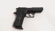 Anamaria Prodan, pistol