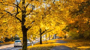 Prognoza meteo ANM, 1 noiembrie 2021