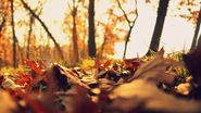 Prognoza meteo NOIEMBRIE 2021. Cum va fi vremea în România în următoarele patru săptămâni