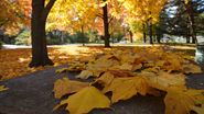 Prognoza meteo NOIEMBRIE 2021. Cum va fi vremea în România în următoarele patru săptămâni