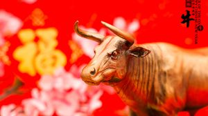 Horoscop chinezesc NOIEMBRIE 2021