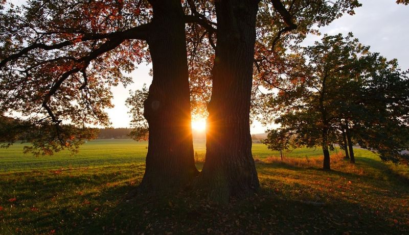Prognoza meteo ANM 3 noiembrie 2021. Cum va fi vremea &icirc;n București, Oltenia, Transilvania, Dobrogea și restul regiunilor