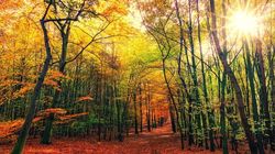 Prognoza meteo ANM joi, 4 noiembrie 2021. Vreme deosebit de caldă pentru această perioadă. Cum va fi vremea astăzi