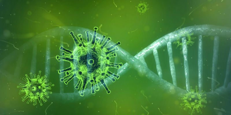 Bilanț coronavirus, 8 noiembrie 2021