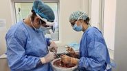 PREMIERĂ în România! Trei români au primit o nouă șansă la viață prin transplant