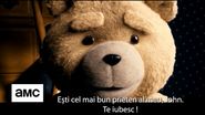 Ursulețul TED