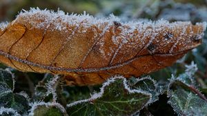 Prognoza meteo DECEMBRIE 2021