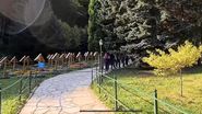 Cărarea către mormânt