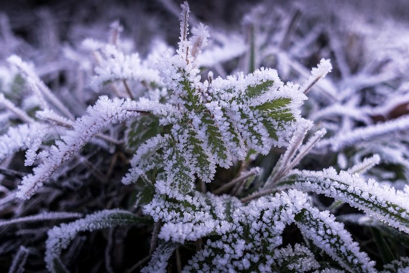 Prognoza meteo de Crăciun. Cum va fi vremea pe 25 decembrie 2021