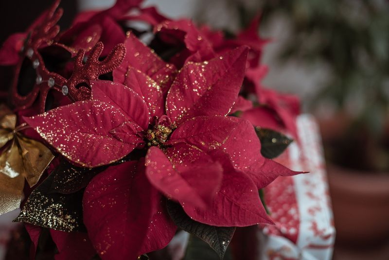 Floare decorativă de pus în brad 