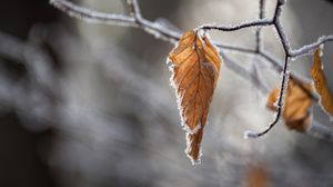 Prognoza meteo ANM, luni, 6 decembrie 2021