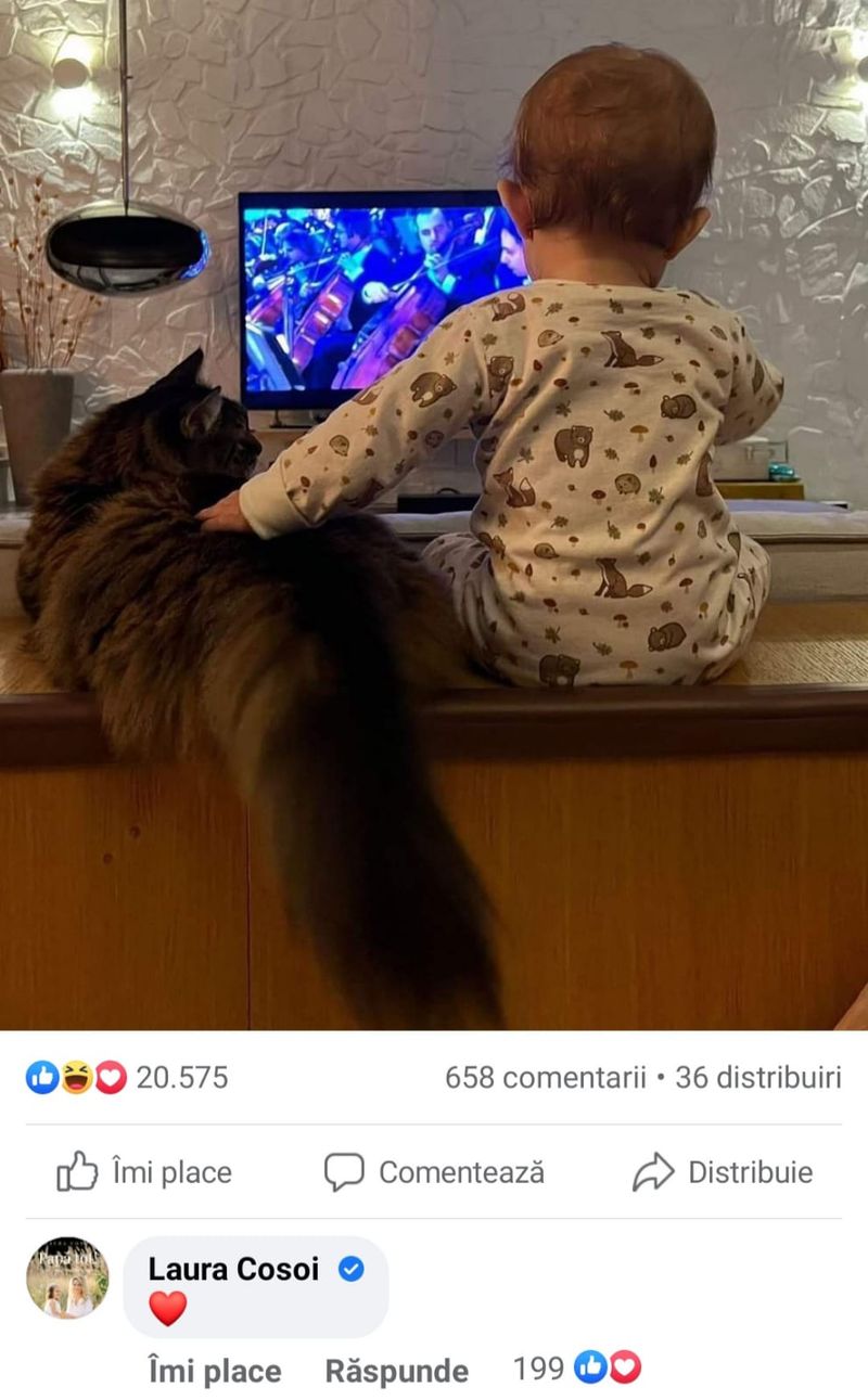 Laura Cosoi a lăsat un comentariu la o fotografie a lui Smiley cu fetița lui