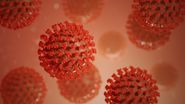 Coronavirus România