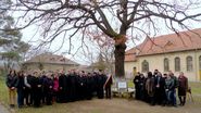 Gorunul lui Arsenie Boca era plantat în curtea liceului unde părintele fusese elev