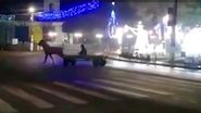 Bărbatul a fost amendat de autorități 