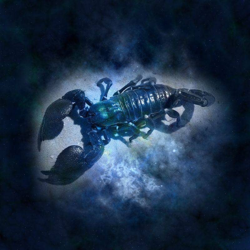 Horoscop IANUARIE 2022