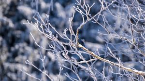Prognoza meteo de Revelion. Cum va fi vremea pe 31 decembrie 2021