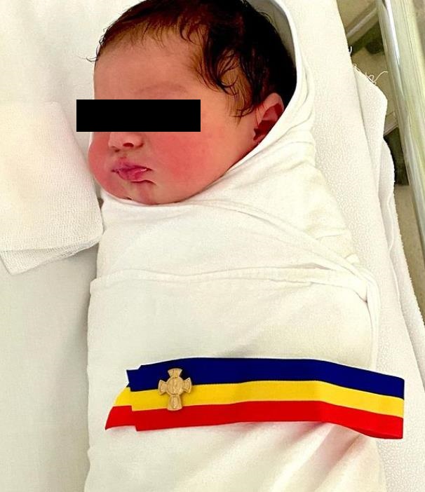 nicolae voiculet 