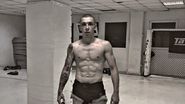 mihai zmarandescu