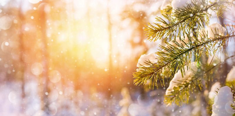 Prognoza meteo ANM, joi, 23 decembrie 2021.