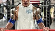 Dan Bilzerian își face griji pentru sănătatea lui The Rock