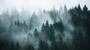 Prognoza meteo ANM, vineri, 7 ianuarie 2022. Cum va fi vremea astăzi în România