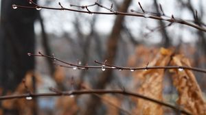 Prognoza meteo ANM, marți, 11 ianuarie 2022
