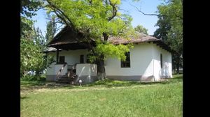 172 de ani de la nașterea lui Mihai Eminescu. Cum arată casa în care a copilărit marele poet național