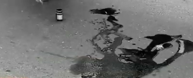 Polițistul se afla singur în mașină