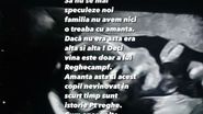 Reacția Anamariei Prodan