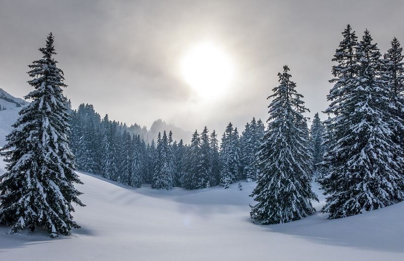 Prognoza meteo ANM, luni, 24 ianuarie 2022