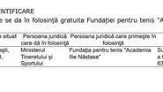 Ilie Nastase, baza vointa
