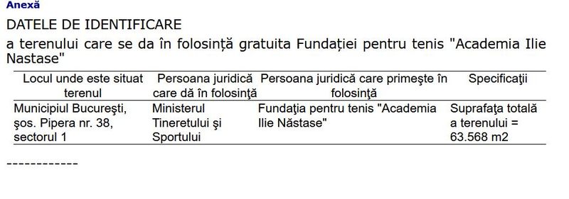 Ilie Nastase, baza vointa