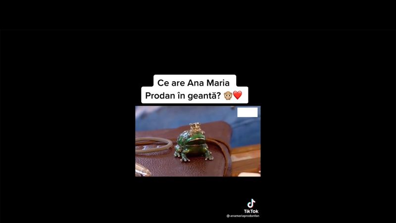 Vedetele au acceptat provocarea WOWbiz.ro și ne-au arătat ce au în geantă