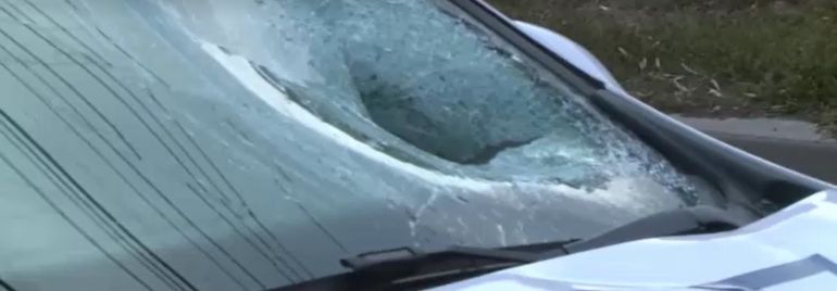 Polițistul care a provocat moartea Raisei, va fi supus testului poligraf! 
