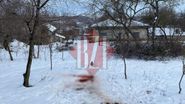 Bărbatul din Iași care și-a decapitat mama cu un topor, declarații halucinante în fața anchetatorilor: „Era plină de șerpi”