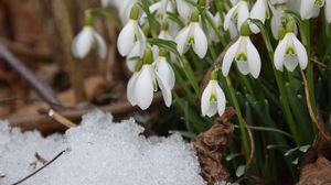 Prognoza meteo ANM, miercuri, 9 februarie 2022
