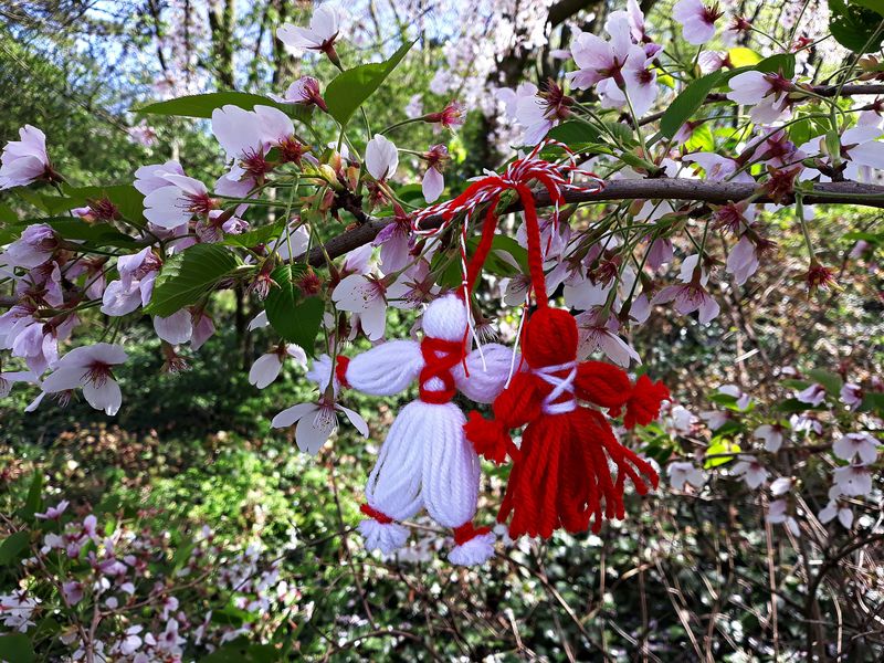 Mărțișor 2023. Ce NU ai voie să faci pe 1 Martie, dacă vrei să &icirc;ți meargă bine toată primăvara