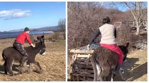 Geta și Iancu s-au întrecut în căzături