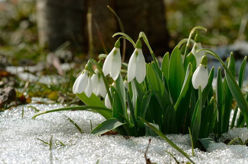 Prognoza meteo ANM, luni, 21 februarie 2022